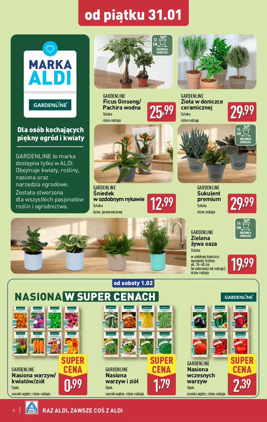 Gazetka promocyjna Aldi - Okazje na weekend - ważna 30.01 do 01.02.2025 - strona 4 - produkty: Gin, Koc, Ogród, Sok, Sukulent, Zioła w doniczce