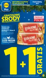 Gazetka promocyjna Lidl - GAZETKA - Gazetka - ważna od 20.12 do 20.12.2023 - strona 11 - produkty: Gra, Jaja, Olej