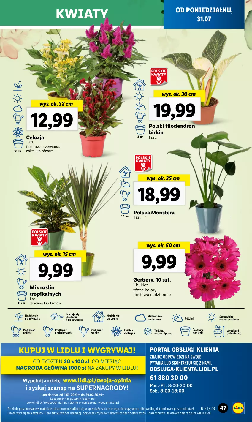 Gazetka promocyjna Lidl - GAZETKA - ważna 31.07 do 05.08.2023 - strona 59 - produkty: Bukiet, Cień, Gerber, Gry, Mola, O nas, Por, Sok, Tera