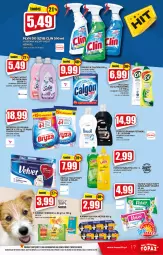 Gazetka promocyjna Topaz - Gazetka - Gazetka - ważna od 11.08 do 11.08.2021 - strona 17 - produkty: Płyn do prania, Top, Sok, Cif, Papier, Proszek do prania, Friskies, Clin, Papier toaletowy, Velvet, Calgon, Perwoll, Bryza, Płyn do szyb, LG