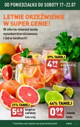 Gazetka promocyjna Aldi - Pełna oferta - Gazetka - ważna od 22.07 do 22.07.2023 - strona 5 - produkty: Sok, Limonka, Woda, Mięta, Grejpfrut