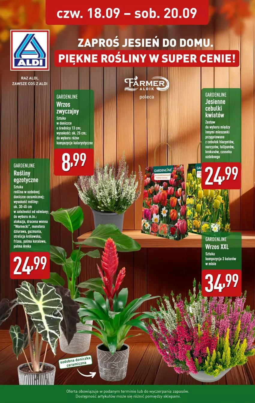 Gazetka promocyjna Aldi - Oferta weekendowa - ważna 18.09 do 20.09.2025 - strona 11 - produkty: Palma, Sok, Tera