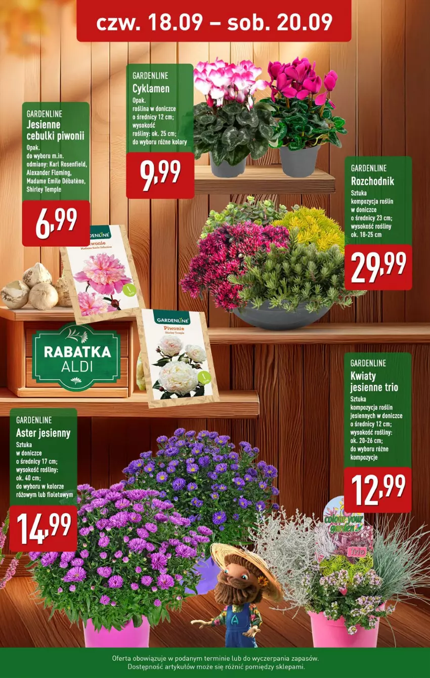 Gazetka promocyjna Aldi - Oferta weekendowa - ważna 18.09 do 20.09.2025 - strona 12 - produkty: Cyklamen, Fa, Sok