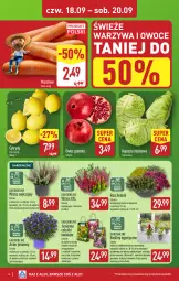 Gazetka promocyjna Aldi - Oferta weekendowa - Gazetka - ważna od 20.09 do 20.09.2025 - strona 4 - produkty: Warzywa, Sok, Gra, Hiacynt, Chodnik, Tulipan, Granat, Warzywa i owoce, Cytryny, Tera, Palma, Narcyz, Owoce, Krokus