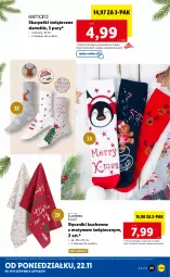 Gazetka promocyjna Lidl - GAZETKA - Gazetka - ważna od 28.11 do 28.11.2021 - strona 25 - produkty: Karp, Skarpetki, Ręcznik