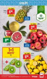 Gazetka promocyjna PoloMarket - Gazetka - ważna od 16.01 do 16.01.2024 - strona 14 - produkty: Cytryny, Kiwi, Gala, Jabłka