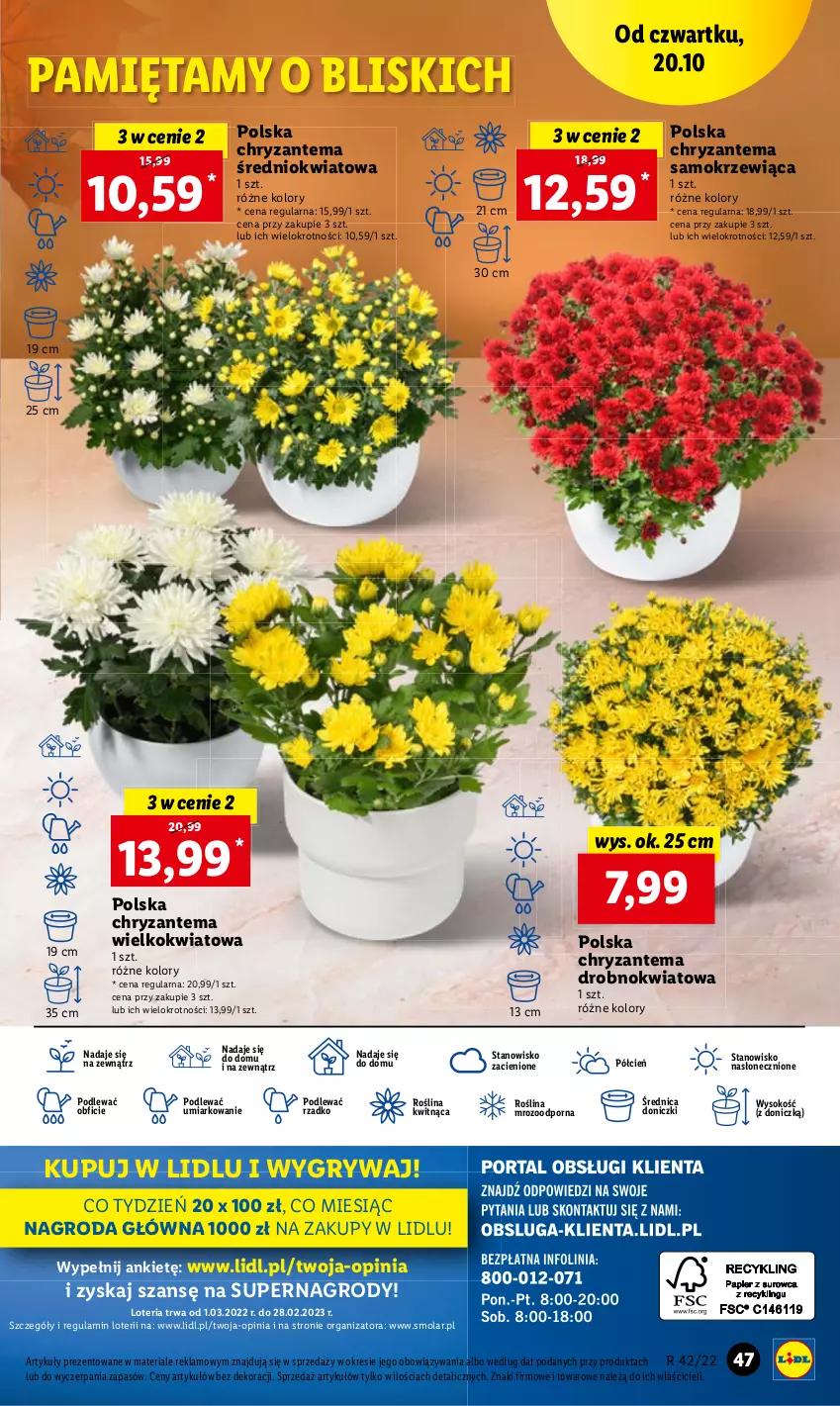 Gazetka promocyjna Lidl - GAZETKA - ważna 20.10 do 22.10.2022 - strona 58 - produkty: Cień, O nas, Por, Sok