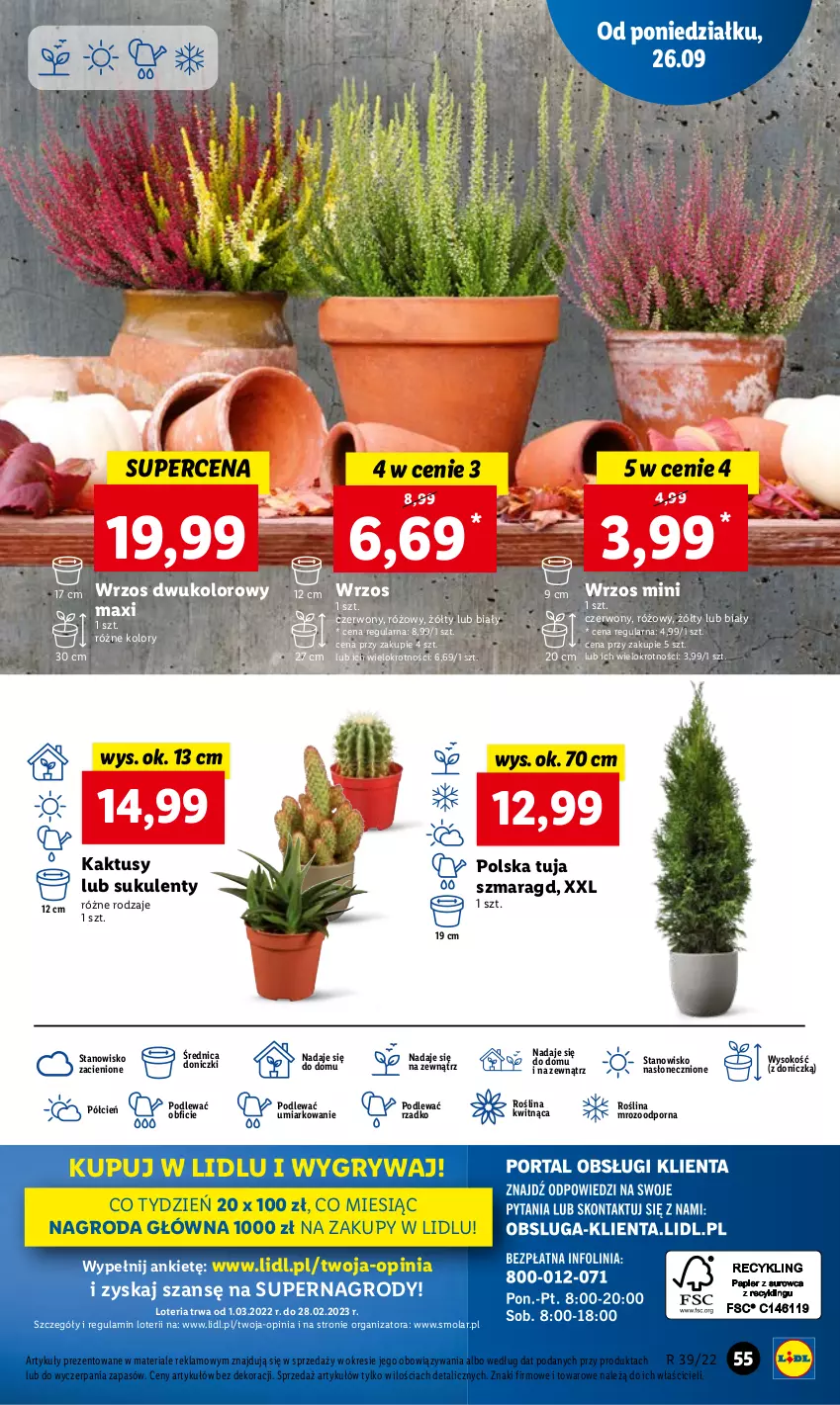 Gazetka promocyjna Lidl - GAZETKA - ważna 26.09 do 28.09.2022 - strona 57 - produkty: Cień, Gry, Kaktus, Mola, O nas, Por, Sok, Sukulent