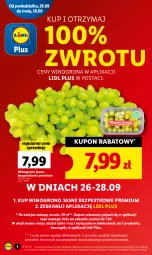Gazetka promocyjna Lidl - GAZETKA - Gazetka - ważna od 28.09 do 28.09.2022 - strona 4 - produkty: Piwa, Winogrona, Znicz, Wino, Olej
