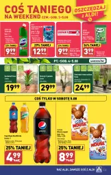 Gazetka promocyjna Aldi - Pełna oferta - Gazetka - ważna od 05.08 do 05.08.2023 - strona 23 - produkty: Domestos, Sok, Pepsi max, Zawieszka do wc, Bref, Przekąski dla psa, Mirinda, Pasta do zębów, Pepsi, Lacalut, Storczyk, Mysz