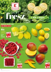 Gazetka promocyjna Kaufland - Gazetka tygodnia - Gazetka - ważna od 23.04 do 23.04.2025 - strona 20 - produkty: Warzywa, Cytryny, Maliny, Owoce, Mango