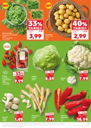 Gazetka promocyjna Kaufland - Gazetka tygodnia - Gazetka - ważna od 23.04 do 23.04.2025 - strona 21 - produkty: Kalafior, Pietruszka, Roszponka, Sałata lodowa, Papryka, Czosnek, Rukola, Ziemniaki, Sałat, Szpic, Grunt, Pomidory, Szpinak
