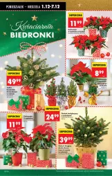 Gazetka promocyjna Biedronka - Od Poniedziałku - Gazetka - ważna od 06.12 do 06.12.2025 - strona 30 - produkty: Sok, Poinsecja, Kask, Ozdoba