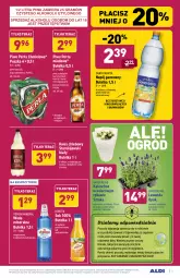Gazetka promocyjna Aldi - PROMOCJE NA WEEKEND - Gazetka - ważna od 17.07 do 17.07.2021 - strona 5 - produkty: Piwa, Piwo, Sok, Ser, Gin, Gry, Gra, Bursztyn, Kije, Kalanchoe, Tera, Perła, Napój gazowany, Woda mineralna, Chleb, Woda, Napój, Hortex
