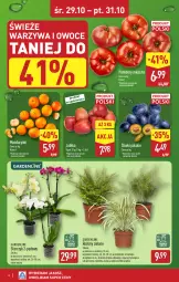 Gazetka promocyjna Aldi - Oferta weekendowa - Gazetka - ważna od 31.10 do 31.10.2025 - strona 4 - produkty: Mandarynki, Warzywa, Sok, BIC, Warzywa i owoce, Kawa, Storczyk, Owoce, Pomidory, Jabłka