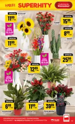 Gazetka promocyjna PoloMarket - Gazetka POLOmarket - Gazetka - ważna od 18.08 do 18.08.2026 - strona 65 - produkty: Bukiet, Miecz
