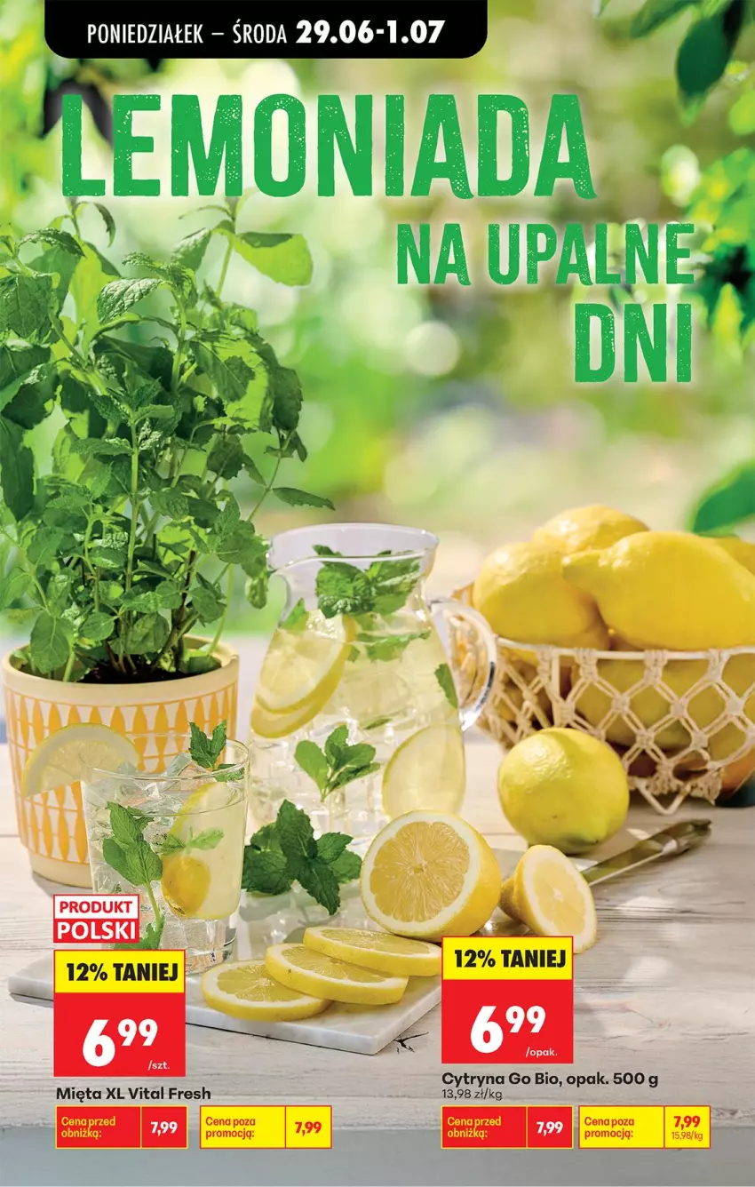 Gazetka promocyjna Biedronka - Od Poniedziałku - ważna 29.06 do 04.07.2026 - strona 80 - produkty: Mięta