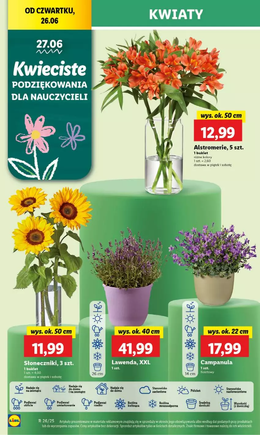 Gazetka promocyjna Lidl - GAZETKA - ważna 26.06 do 29.06.2025 - strona 58 - produkty: Bukiet, Campanula, Cień
