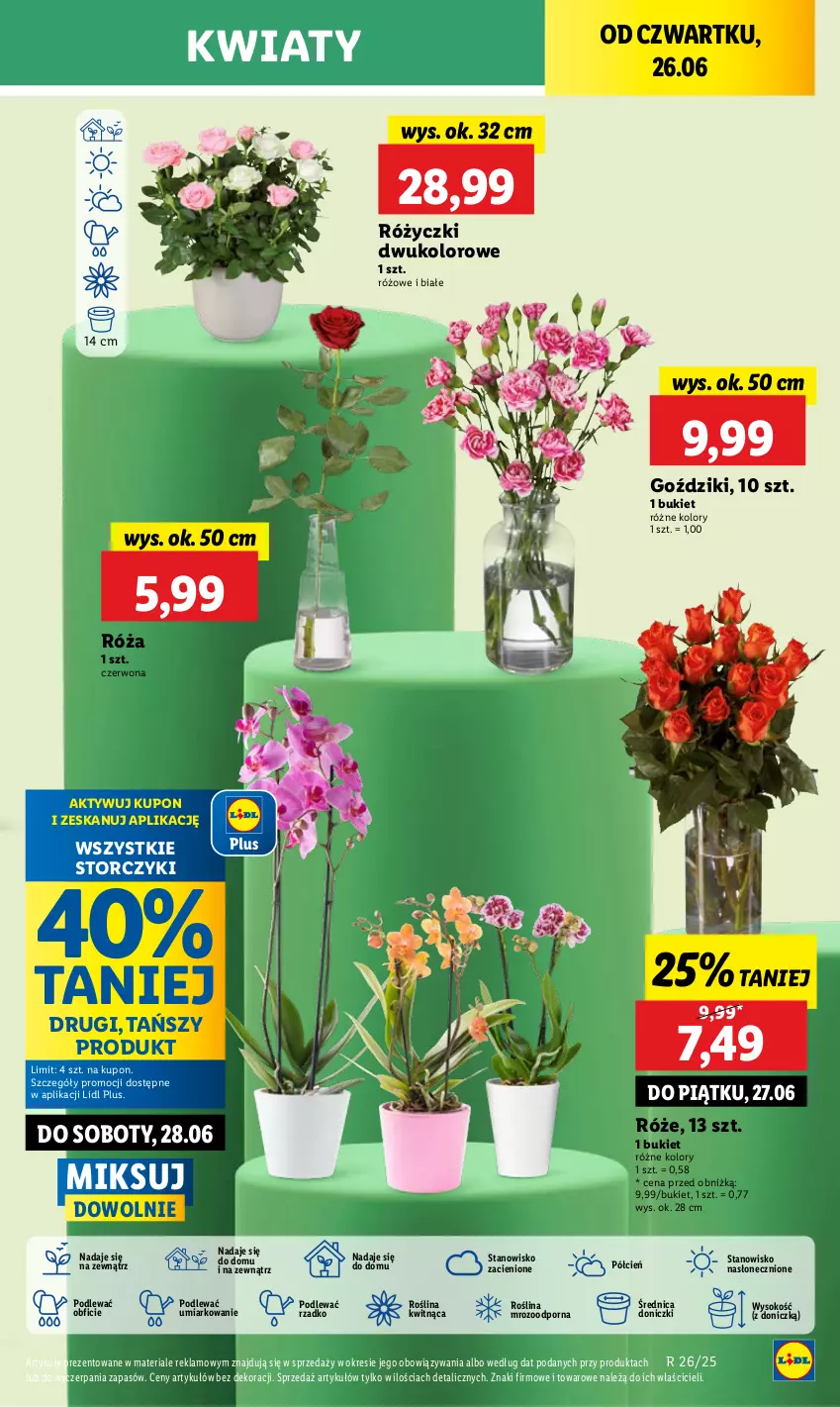 Gazetka promocyjna Lidl - GAZETKA - ważna 26.06 do 29.06.2025 - strona 59 - produkty: Bukiet, Cień, O nas, Por, Róża, Sok, Storczyk