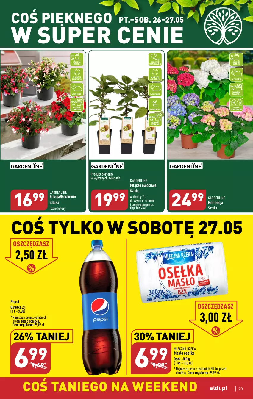 Gazetka promocyjna Aldi - Pełen katalog - ważna 22.05 do 27.05.2023 - strona 23 - produkty: Kiwi, Masło, Mleczna Rzeka, Pepsi, Sok, Wino, Winogrona