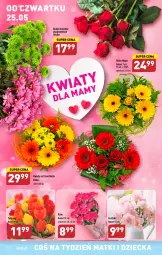 Gazetka promocyjna Aldi - Pełen katalog - Gazetka - ważna od 27.05 do 27.05.2023 - strona 8 - produkty: Sok, Tulipan, Bukiet