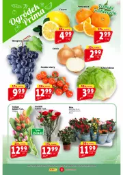 Gazetka promocyjna Prim Market - Gazetka - ważna od 14.02 do 14.02.2024 - strona 6 - produkty: Sok, Tulipan, Róża, Winogrona, Bukiet, Wino