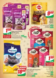 Gazetka promocyjna Dino - Gazetka 9 - Gazetka - ważna od 05.03 do 05.03.2024 - strona 54 - produkty: Mokra karma, Gra, Rama, Whiskas, Mars, Pedigree, Sucha karma
