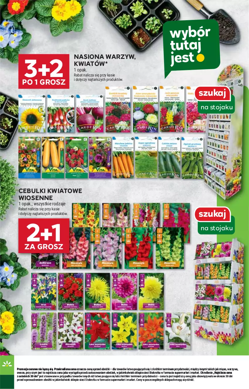 Gazetka promocyjna Stokrotka - Market - ważna 20.02 do 26.02.2025 - strona 20 - produkty: HP, Stojak