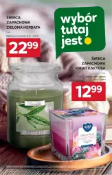 Gazetka promocyjna Stokrotka - Market - Gazetka - ważna od 26.02 do 26.02.2025 - strona 18 - produkty: Warzywa, Kaktus, Owoce, Herbata, Mięso