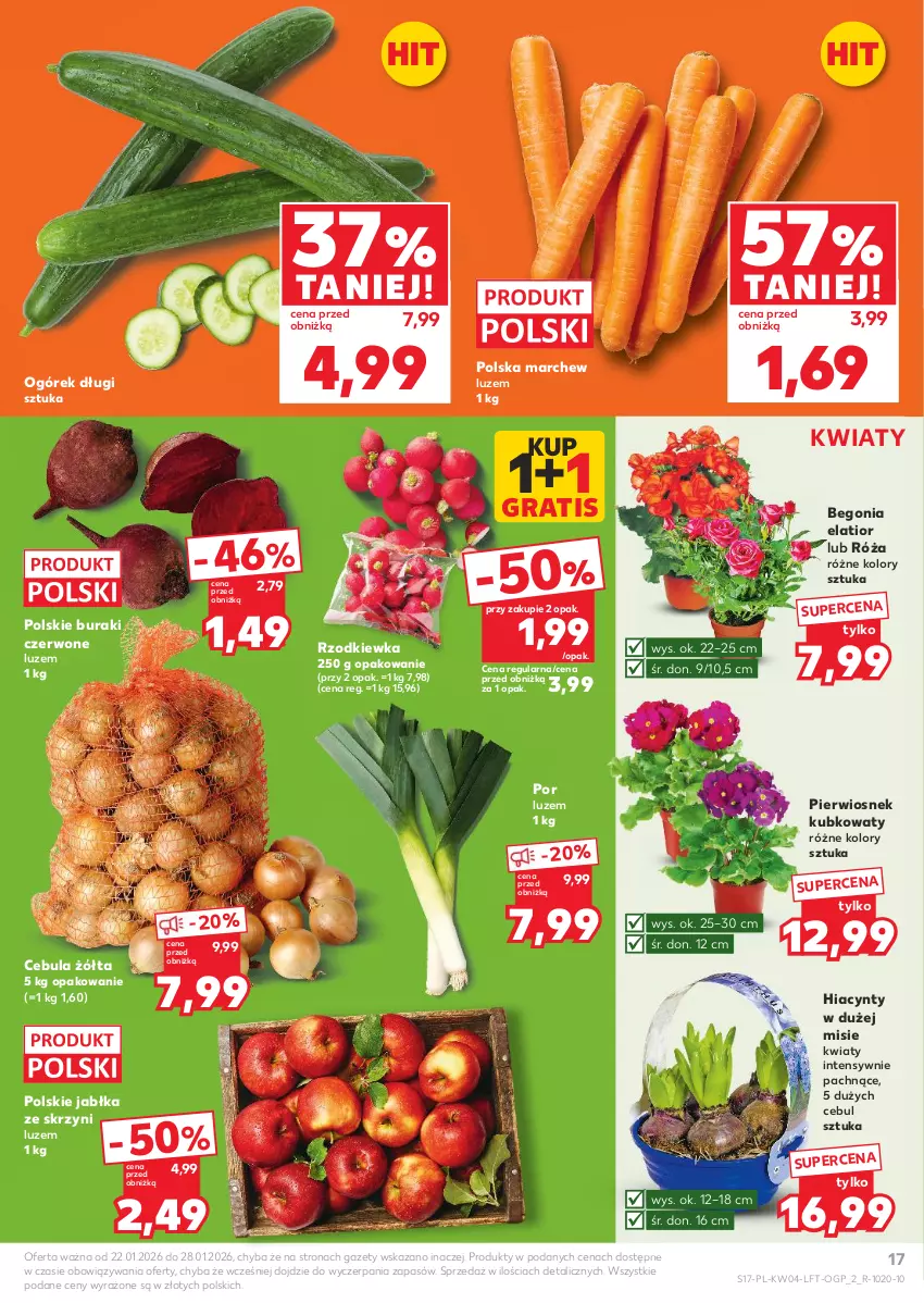 Gazetka promocyjna Kaufland - Gazetka tygodnia - ważna 22.01 do 28.01.2026 - strona 17 - produkty: Buraki, Cebula, Gra, Hiacynt, Jabłka, Ogórek, Por, Róża, Rzodkiewka