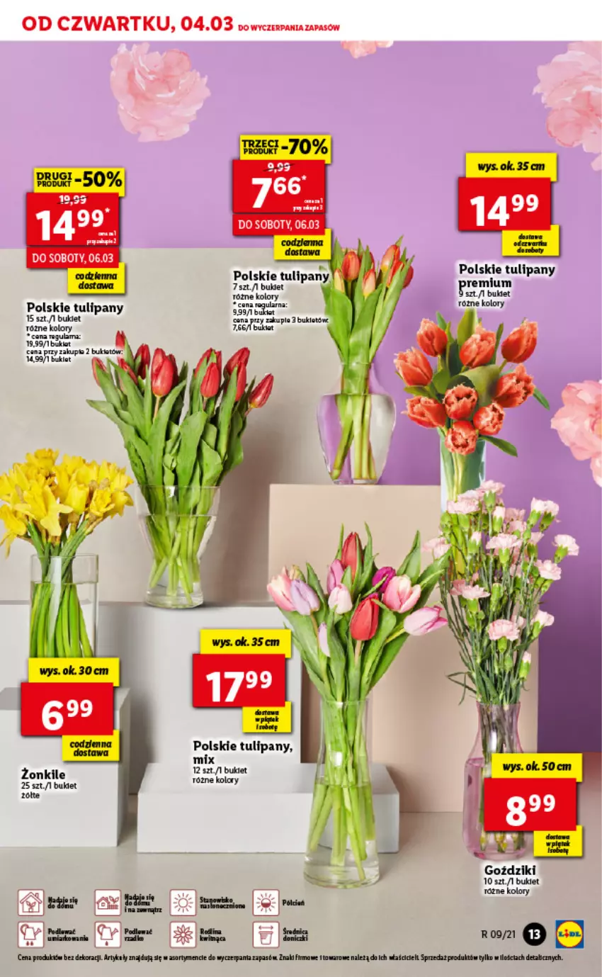 Gazetka promocyjna Lidl - GAZETKA - ważna 04.03 do 06.03.2021 - strona 13 - produkty: Bukiet, Tulipan