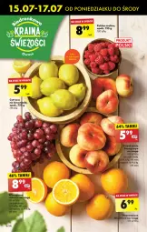 Gazetka promocyjna Biedronka - Od poniedzialku - Gazetka - ważna od 20.07 do 20.07.2024 - strona 18 - produkty: Pomarańcze