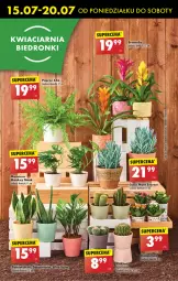 Gazetka promocyjna Biedronka - Od poniedzialku - Gazetka - ważna od 20.07 do 20.07.2024 - strona 65 - produkty: Tera
