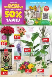Gazetka promocyjna Twoj Market - Gazetka - ważna od 25.03 do 25.03.2025 - strona 20 - produkty: Hiacynt, Prymula, Róża, Tera