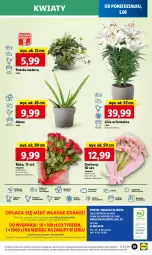 Gazetka promocyjna Lidl - GAZETKA - Gazetka - ważna od 07.08 do 07.08.2024 - strona 59 - produkty: Sok, Por, Gra, Gerber, Cień, O nas, Mola, Bukiet