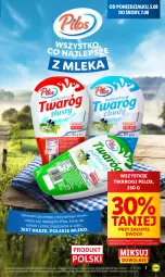 Gazetka promocyjna Lidl - GAZETKA - Gazetka - ważna od 07.08 do 07.08.2024 - strona 7 - produkty: Pilos