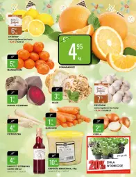 Gazetka promocyjna Bi1 - Świąteczne smaki - Gazetka - ważna od 24.12 do 24.12.2022 - strona 7 - produkty: Piec, Pietruszka, Cytryny, Kapustą