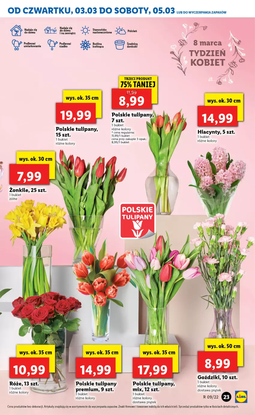 Gazetka promocyjna Lidl - GAZETKA - ważna 03.03 do 05.03.2022 - strona 23 - produkty: Bukiet, Hiacynt, Tulipan