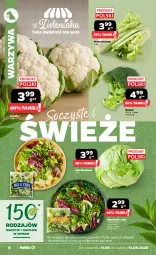 Gazetka promocyjna Netto - Od Czwartku - Gazetka - ważna od 13.09 do 13.09.2025 - strona 4 - produkty: Kalafior, Warzywa, Sałata lodowa, Sałat, Seler naciowy, Mieszanka sałat