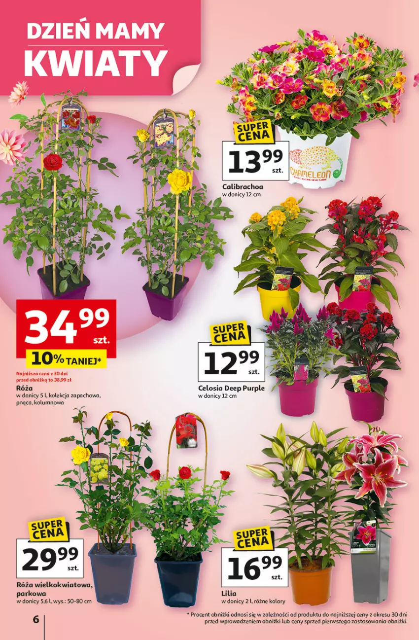 Gazetka promocyjna Auchan - Uśmiech mamy? Zaplanowany! Hipermarket - ważna 22.05 do 28.05.2025 - strona 6 - produkty: Pur, Róża