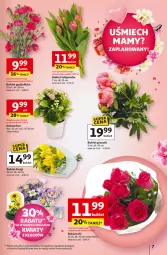 Gazetka promocyjna Auchan - Uśmiech mamy? Zaplanowany! Hipermarket - Gazetka - ważna od 28.05 do 28.05.2025 - strona 7 - produkty: Tulipan, Kalanchoe, Bukiet