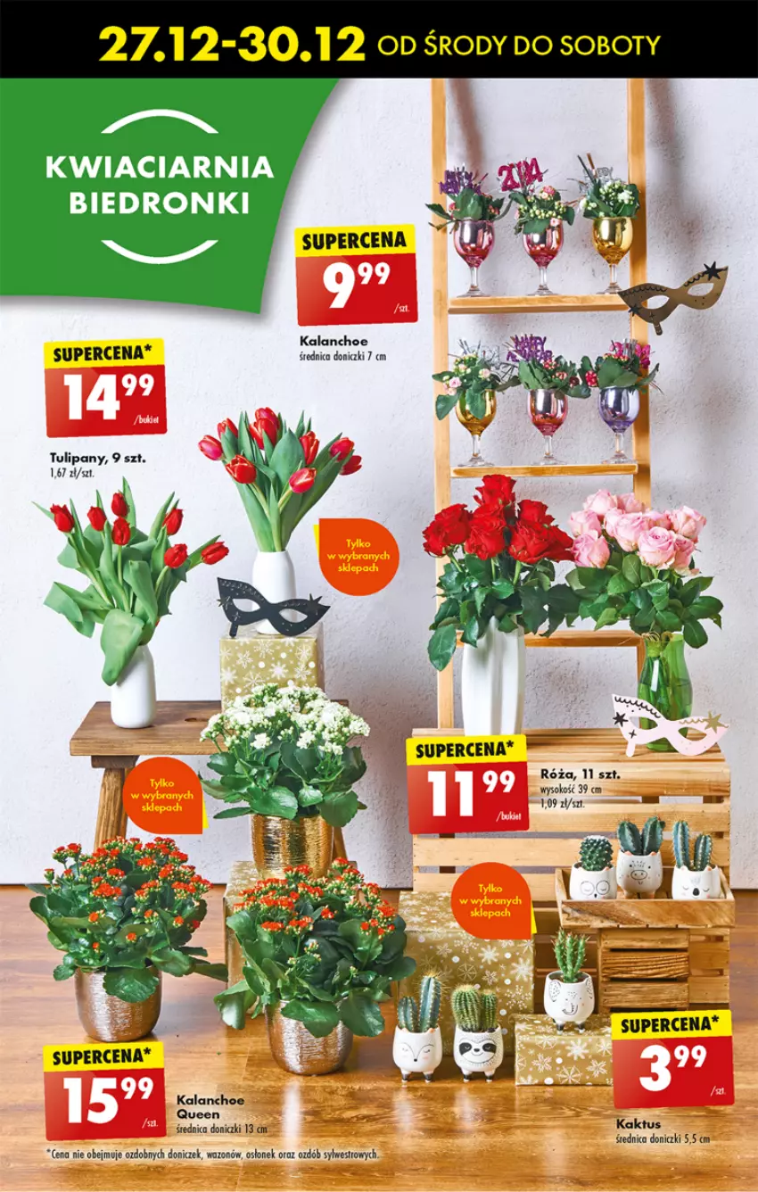 Gazetka promocyjna Biedronka - Sylwester - ważna 27.12 do 30.12.2023 - strona 23 - produkty: Kaktus, Kalanchoe, Sok, Tulipan, Wazon