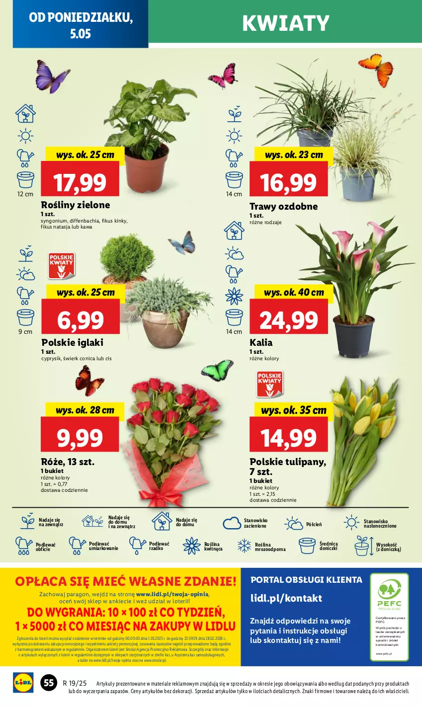 Gazetka promocyjna Lidl - GAZETKA - ważna 05.05 do 07.05.2025 - strona 64 - produkty: Bukiet, Chia, Cień, Cyprysik, Gra, Kawa, Laur, Mola, NBA, O nas, Por, Portal, Sok, Tulipan