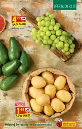 Gazetka promocyjna Biedronka - Gazetka - ważna od 27.10 do 27.10.2021 - strona 17 - produkty: Ziemniaki