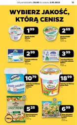Gazetka promocyjna Netto - Artykuły spożywcze - Gazetka - ważna od 02.09 do 02.09.2023 - strona 13 - produkty: Serek wiejski, Ser, Twaróg, Piątnica, Zupa, Zott, Serek, Twaróg półtłusty, Hortex
