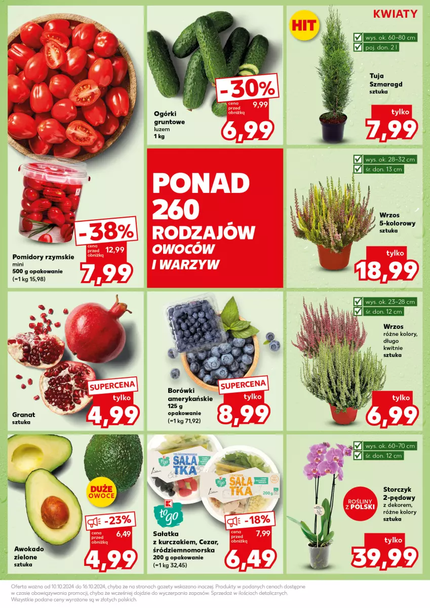 Gazetka promocyjna Kaufland - Kaufland - ważna 14.10 do 16.10.2024 - strona 11 - produkty: Gra, Granat, Grunt, Kurczak, Pomidory, Sałat, Sałatka, Storczyk