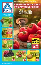 Gazetka promocyjna Aldi - Farmer ALDIK poleca świeże owoce i warzywa - Gazetka - ważna od 28.09 do 28.09.2024 - strona 1 - produkty: Kiwi, Maliny, Winogrona, Wino, Mango, Pomidory, Jabłka