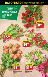 Gazetka promocyjna Biedronka - Od Czwartku - Gazetka - ważna od 16.10 do 16.10.2024 - strona 18 - produkty: Sok, Tulipan, Róża, Bukiet