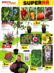 Gazetka promocyjna Bricomarche - Gazetka - Gazetka - ważna od 13.05 do 13.05.2023 - strona 2 - produkty: Mus, Borówka, Borówka amerykańska, Tulipan, Papryka, Ogórek, Arbuz
