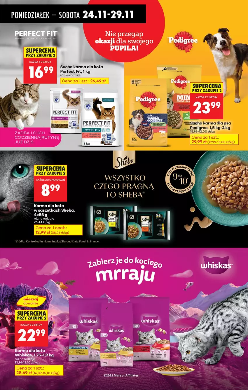 Gazetka promocyjna Biedronka - Od Poniedziałku - ważna 24.11 do 29.11.2025 - strona 82 - produkty: Pedigree, Sheba, Sucha karma